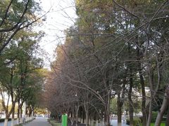 -玉山公园