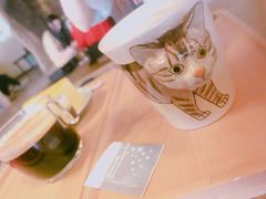 -猫猫幼稚园·撸猫·桌游·电玩
