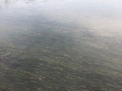 -杭州双溪漂流景区