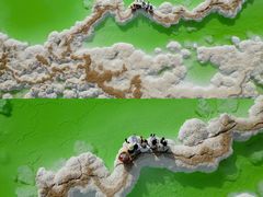 -察尔汗盐湖