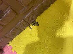 -启东恒大海上威尼斯酒店
