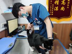 -宠福鑫动物医院·动物疾病诊疗中心(天通苑店)