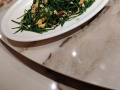 -新疆兵团食府清真(马连道店)