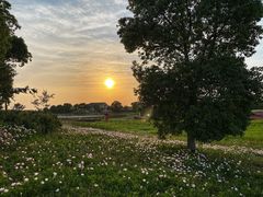-苏州湾体育公园