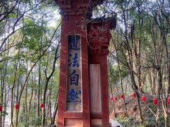 -老君山
