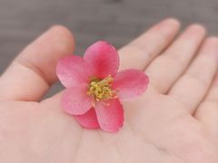 -塔子山公园