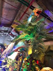 -恐龙探索乐园(磁器口店)