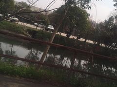 -无忧学车·大众驾校(长宁校区)