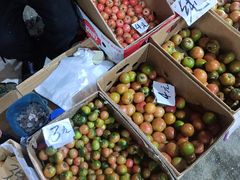 -大连双兴商品城