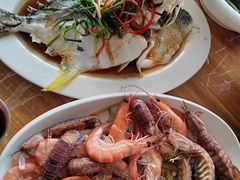 -海胆公主南澳岛美食海鲜