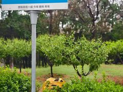 -青龙湖公园