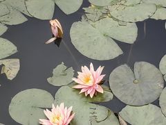 -宁波杭州湾国家湿地公园