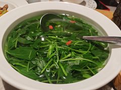 -醉庐·新上海菜(南京西路店)