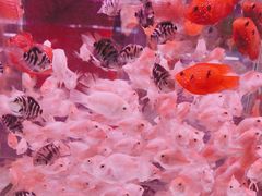 -三旗百汇商品城