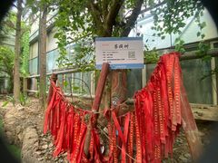 -呀路古热带植物园