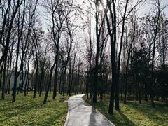 -西青郊野公园