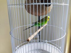 -浙江安吉JW万豪酒店·万豪中餐厅