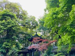 -成都杜甫草堂博物馆