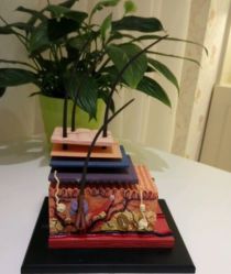 点击看大图 -咪咪比基尼脱毛专业店