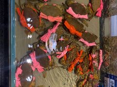 -渔傅·霞浦滩涂海鲜(建平店)