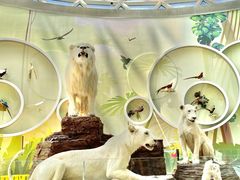 -陕西自然博物馆