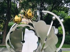 -陈家山荷花公园