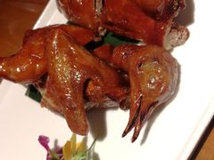 -燕郊烧鸽子(广安路店)