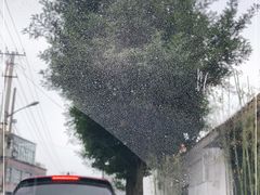 -苹果树下艺术餐厅(通州店)