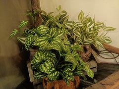 -湘当爱·鲜煮现炒(松岗立业路店)