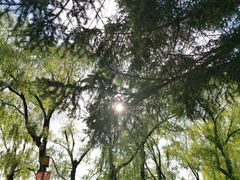 -长春市南湖公园