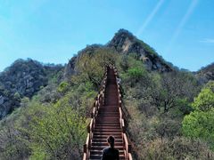 -大岭沟猕猴桃谷风景区