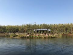 -合肥滨湖国家森林公园