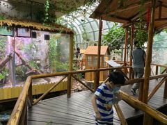 -上海昆虫博物馆