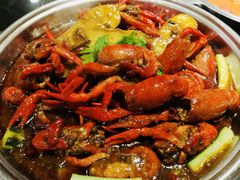 -刘胖子家常菜·蹄花焖藕(中南店)