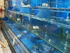 -重百超市(鲁能星城店)