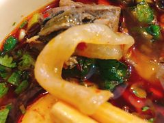 -黑竹香鸡(营和巷店)