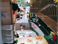 -听说碳烧蛙(高新万达店)