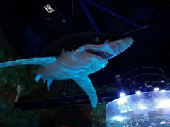 -青岛嘉年华主题乐园