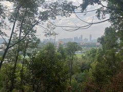 -顺峰山公园