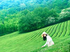 -敬亭山风景名胜区