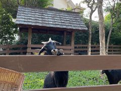 -广州锦绣香江度假别墅