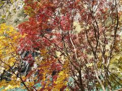 -叠溪松坪沟景区