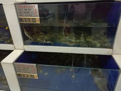 水产区-蟹都汇(龙舟店)