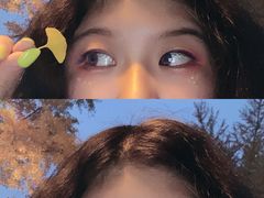 -三里屯东五街银杏大道