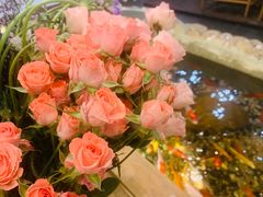 -龙源茶坊(白银路店)