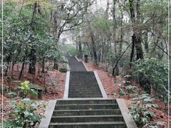 -岳麓山风景名胜区