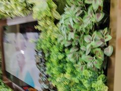 -深圳雅呗德口腔门诊部(坪山店)