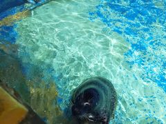 -太平洋海底世界