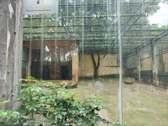 -柳州市动物园