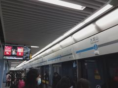 -大龙山(地铁站)